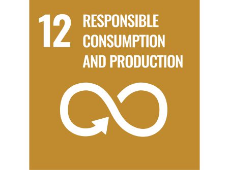 UN SDG - goal 12 tile - Responsible Consumption and Production