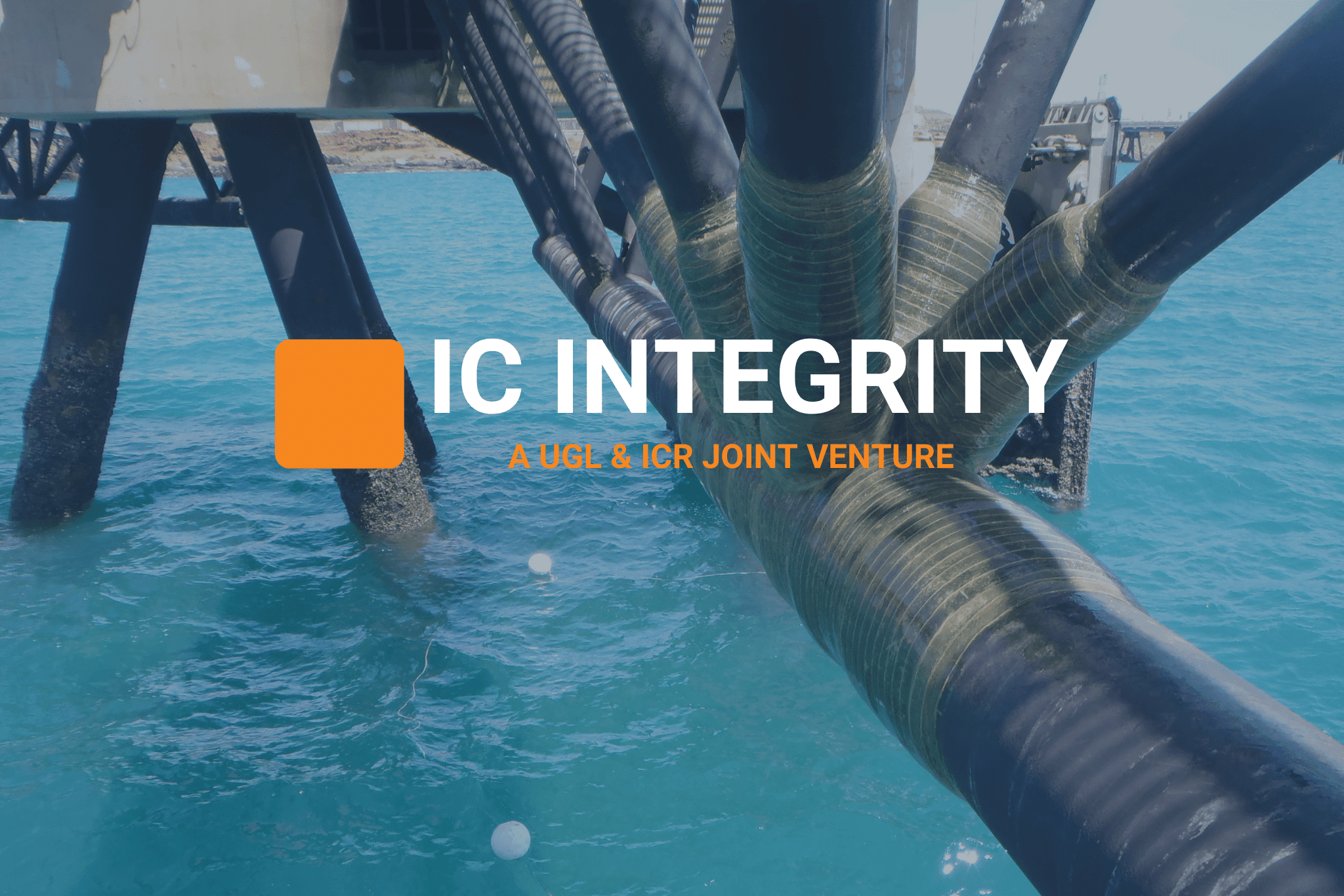Discover IC Integrity
